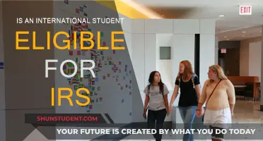 International Students: Are You Eligible for IRS Benefits?