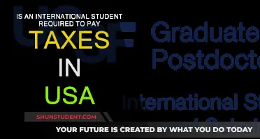 International Students: Do You Need to Pay US Taxes?
