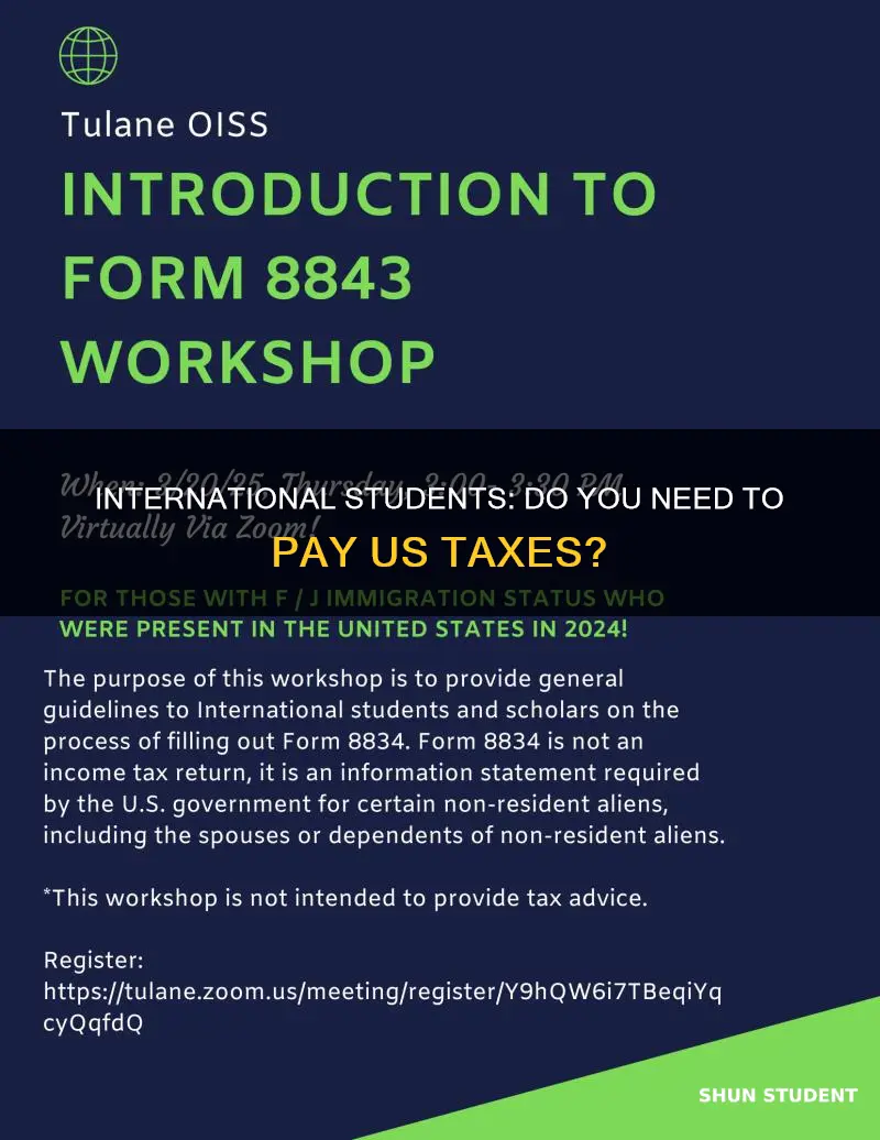 is an international student required to pay taxes in usa
