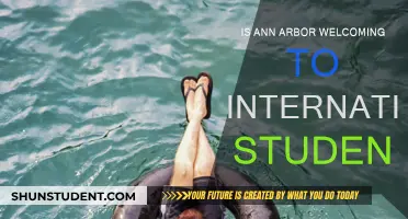Ann Arbor: Welcoming International Students?