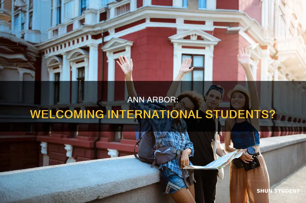 is ann arbor welcoming to international students