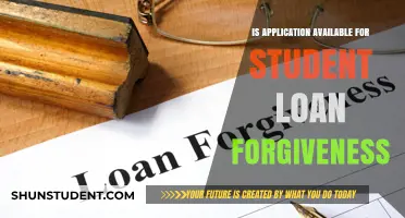 Student Loan Forgiveness: Is an Application Available for Borrowers?