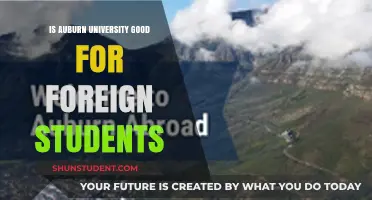 Auburn University: A Foreign Student's Dream?