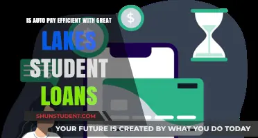 Is Auto Pay Efficient for Great Lakes Student Loans?
