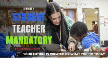 Is Student Teaching Mandatory? Exploring Requirements for Aspiring Educators