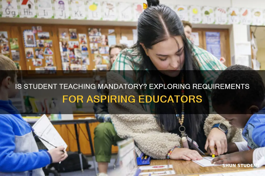 is being a student teacher mandatory