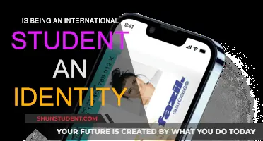 International Students: A Unique Identity or Just a Label?