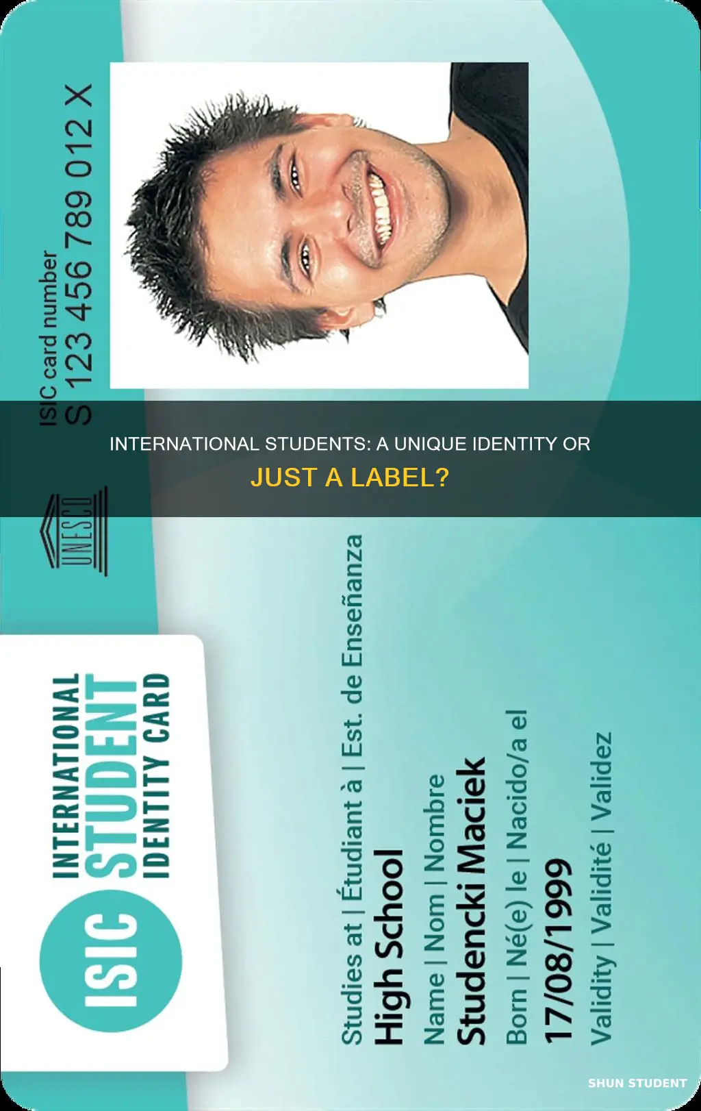 is being an international student an identity