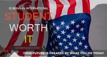 International Student Experience: Is It Worth the Effort?