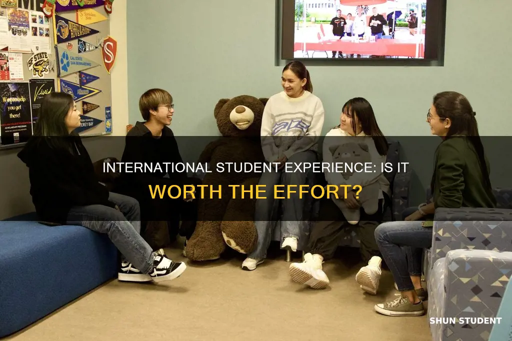 is being an international student worth it