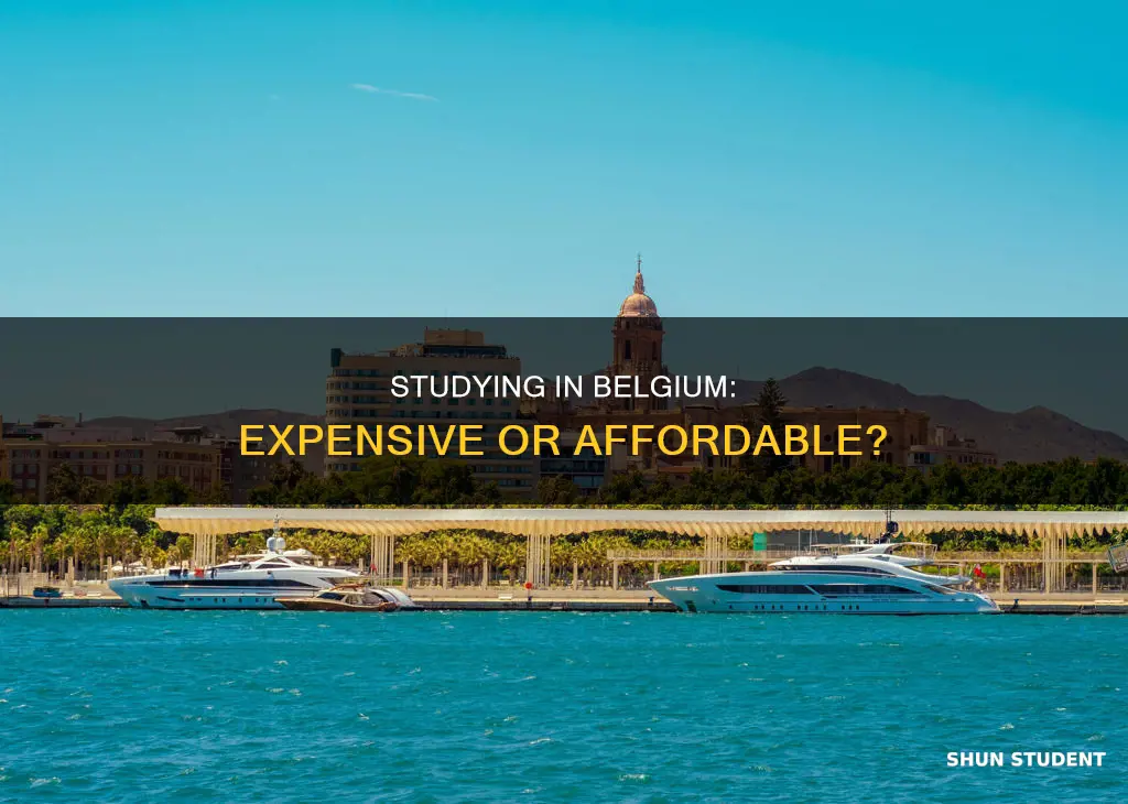 is belgium expensive for international students