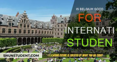 Belgium: A Haven for International Students?