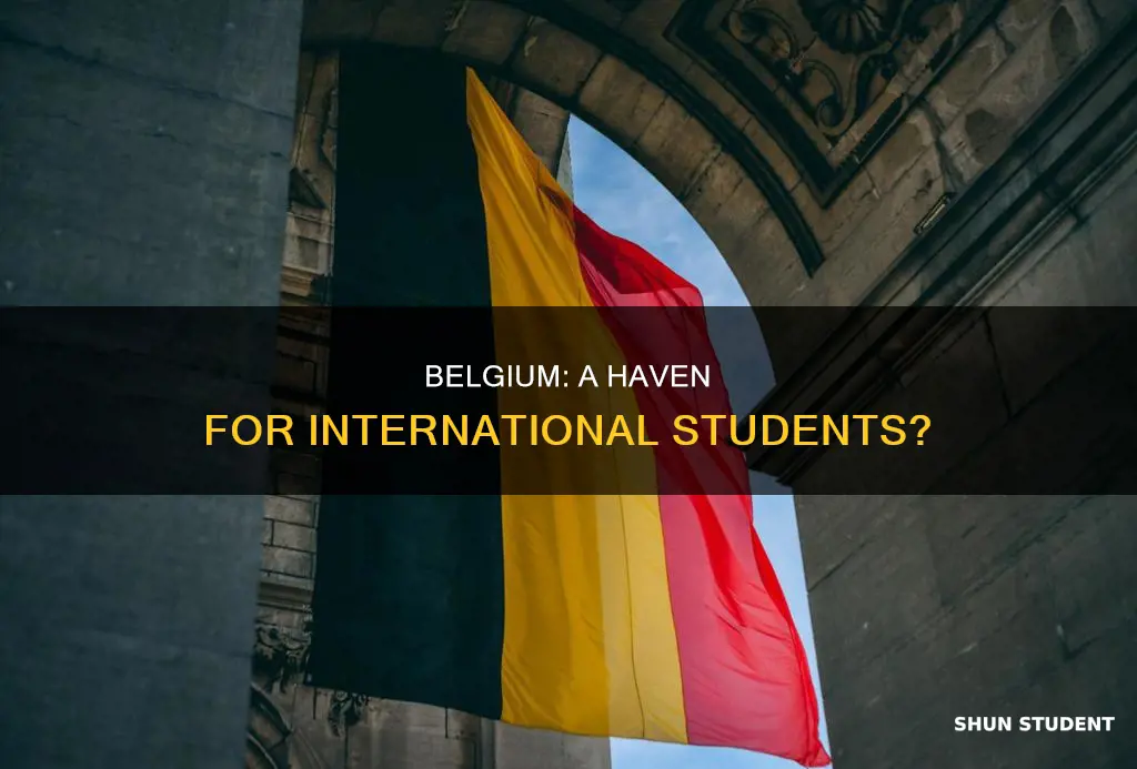 is belgium good for international students