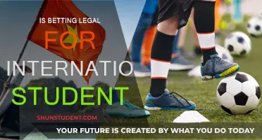 Betting Laws: International Students' Guide