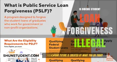 Is Biden's Student Loan Forgiveness Plan Legally Sound?