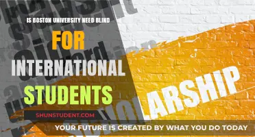 International Students: Boston University's Need-Blind Policy