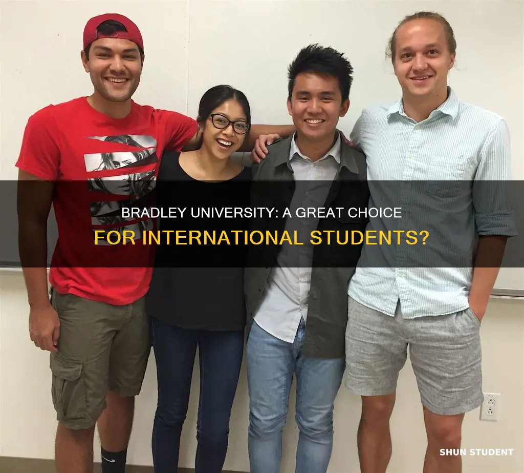 is bradley good for international student