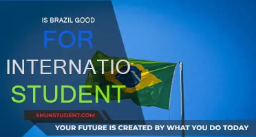 Brazil: A Smart Choice for International Students?