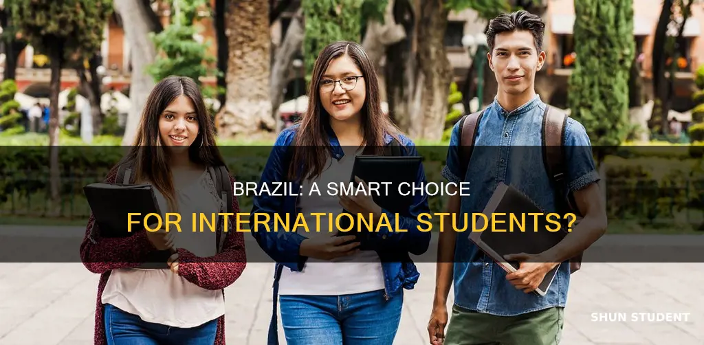 is brazil good for international students