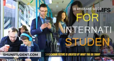 Brisbane: A Haven for International Students?