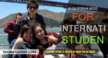 California: A Dream Destination for International Students?