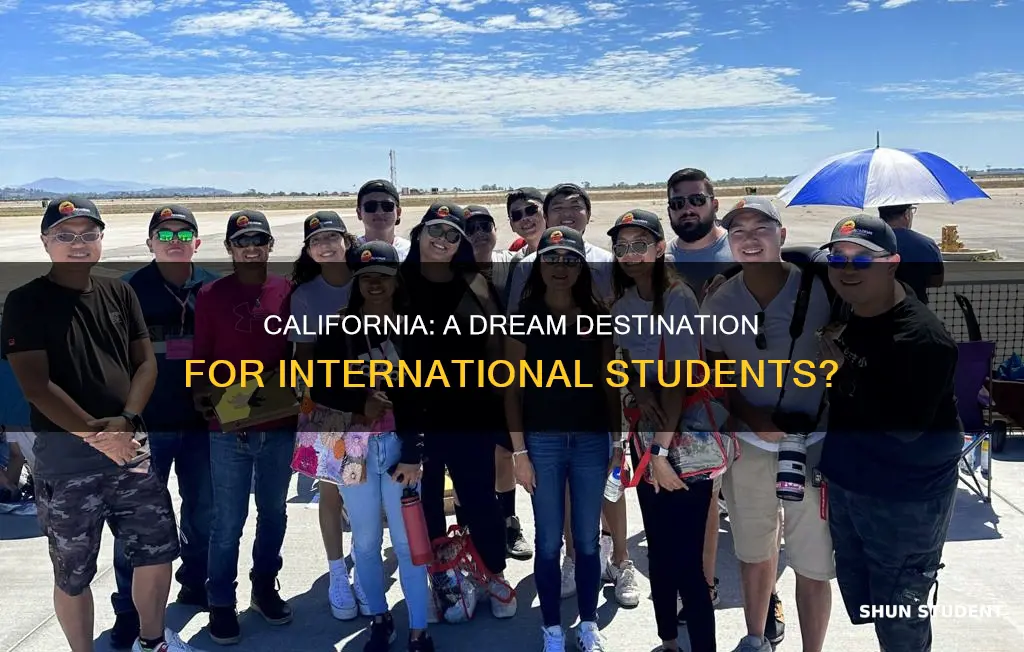 is california good for international students