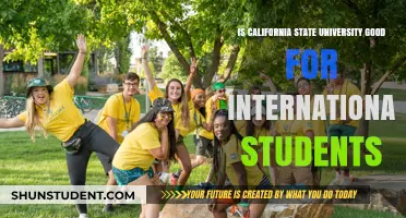 California State University: A Haven for International Students?