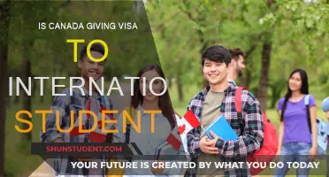 Canada Offers Visas for International Students