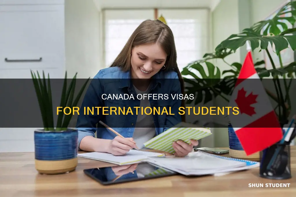 is canada giving visa to international students