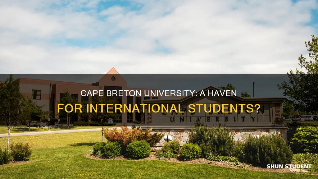 is cape breton university good for international students
