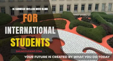 Carnegie Mellon's Need-Blind Policy: International Students Included?