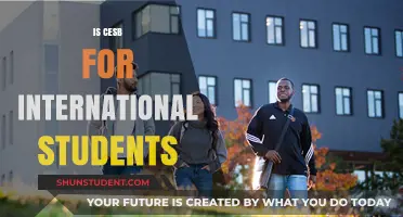 CESB Eligibility: Are International Students Included?