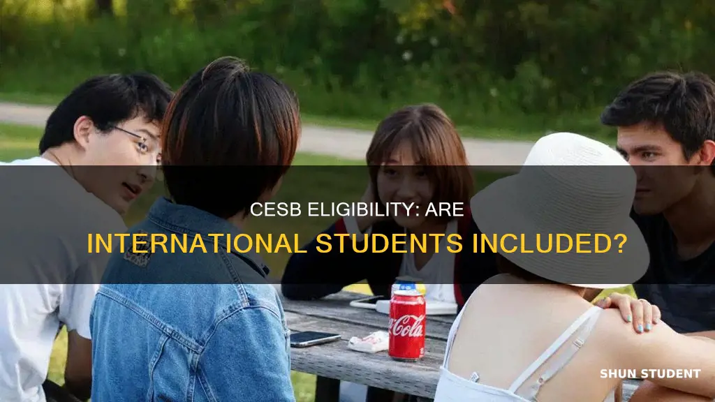 is cesb for international students