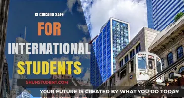 Chicago's Safety for International Students: What You Need to Know