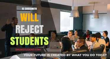 Will Codesmith Reject You? Understanding Their Admission Criteria