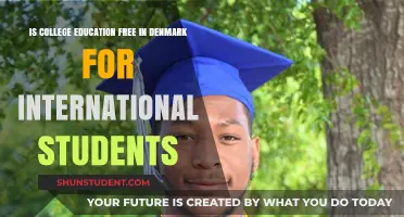 College Education in Denmark: Free for International Students?
