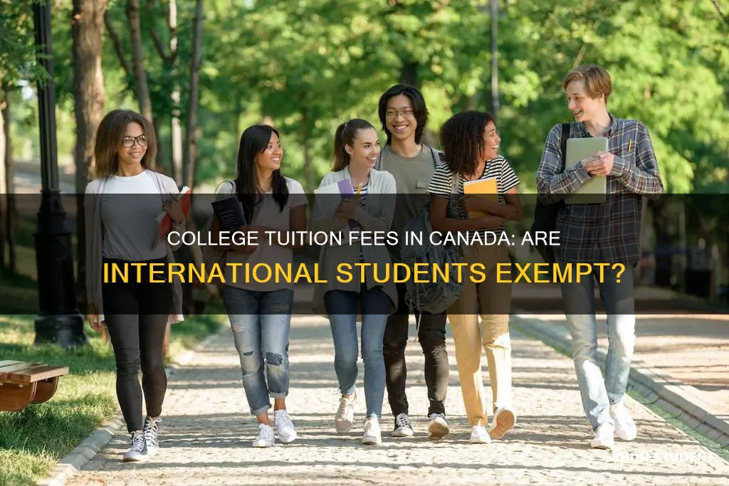 is college free in canada for international students
