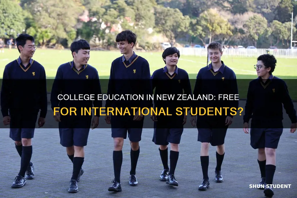 is college free in new zealand for international students