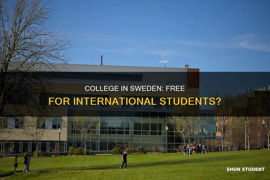 is college free in sweden for international students
