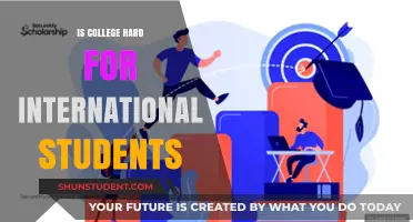 College Challenges for International Students