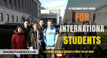 International Students: Columbia's Need-Aware Policy Explained
