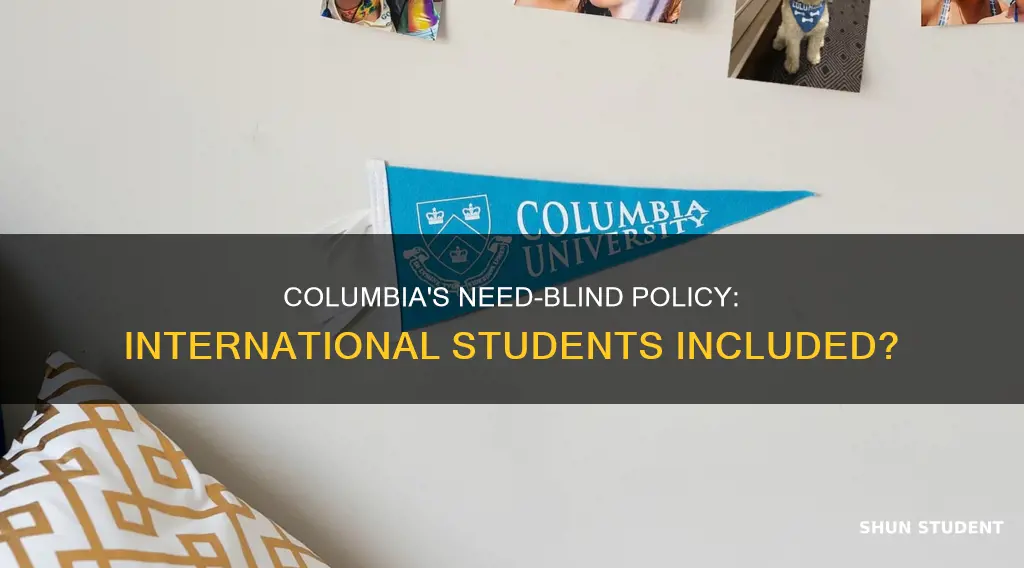 is columbia need blind for international students