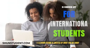 International Students: Using Common App to Apply