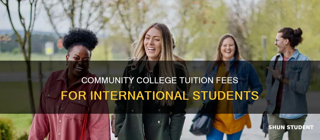 is community college free for international students