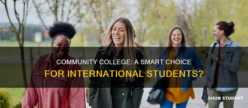 is community college good for international students