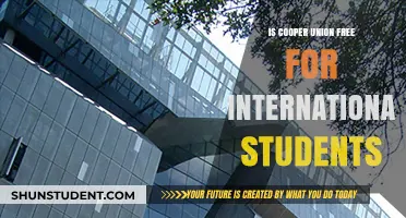 International Students: Free Ride at Cooper Union?