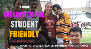 International Students: Why Cornell is a Top Choice