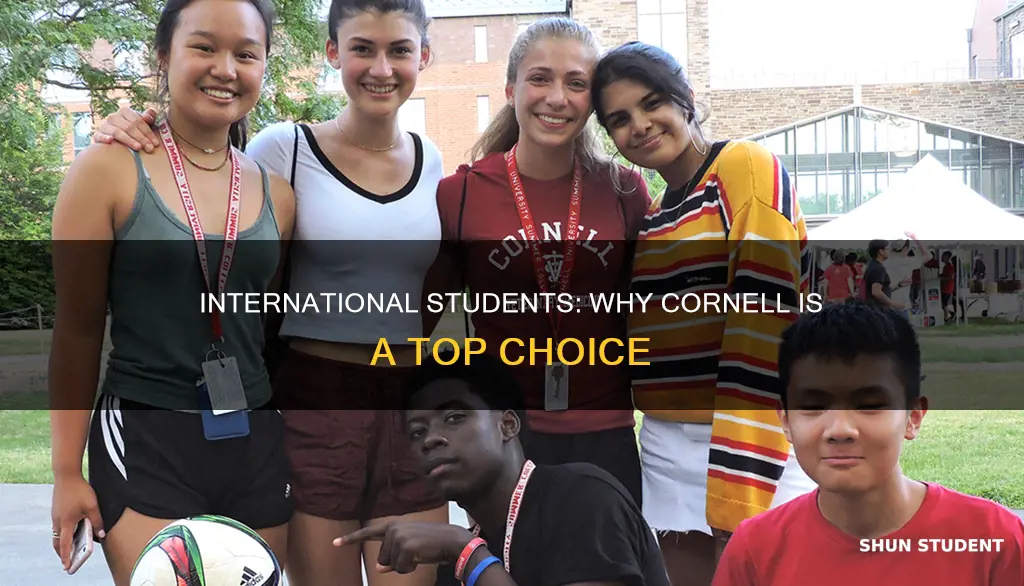 is cornell international student friendly