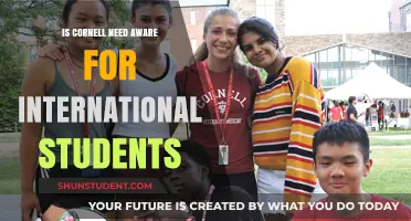 Cornell's Need-Aware Policy: Impact on International Students
