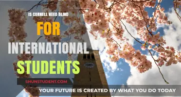 Cornell's Need-Blind Policy: International Students Included?